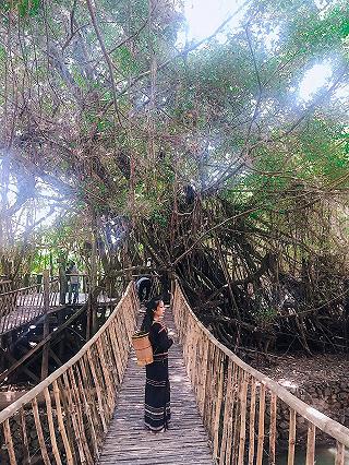 mùa hoa nở ở Dak Lak - ảnh 2 mua hoa no o dak lak - anh 2
