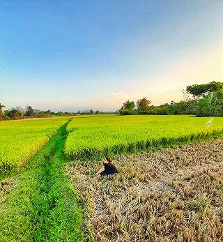 Một buổi chiều tại vùng quê của bà c những ngày nghĩ của covid 19 - ảnh 1 mot buoi chieu tai vung que cua ba c nhung ngay nghi cua covid 19 - anh 1