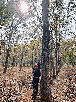 mùa hoa nở ở Dak Lak - ảnh 3 mua hoa no o dak lak - anh 3
