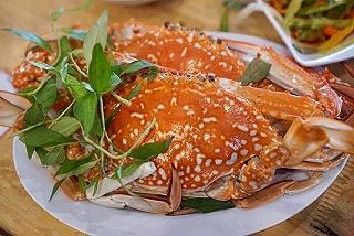 ốc Tự Nhiên 2 - ảnh 1 oc tu nhien 2 - anh 1