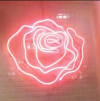 Roseice ❤️❤️ - ảnh 3 roseice ❤️❤️ - anh 3