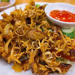 ốc Tự Nhiên 2 - ảnh 3 oc tu nhien 2 - anh 3