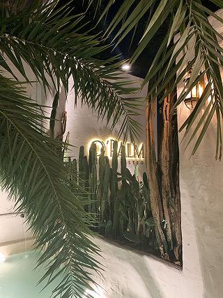 O’Palm Cafe nổi đình nổi đám của giới trẻ có như mong chờ? - ảnh 4 o’palm cafe noi dinh noi dam cua gioi tre co nhu mong cho? - anh 4