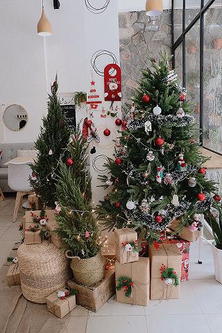 Noel Các Bạn Ghé Đâu Nào? - ảnh 5 noel cac ban ghe dau nao? - anh 5
