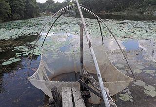 Khu du lịch Bửu Long - ảnh 3 khu du lich buu long - anh 3