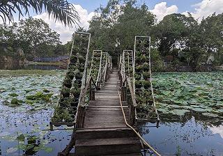 Khu du lịch Bửu Long - ảnh 2 khu du lich buu long - anh 2