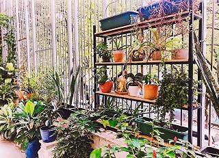 🌺Lekima tea & cafe shop 🌺 - ảnh 4 🌺lekima tea & cafe shop 🌺 - anh 4
