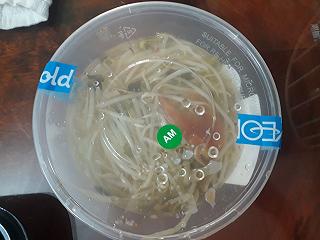 Một nét ngắn về cơm sườn mua ở Aeon Mall Tân Phú - ảnh 3 mot net ngan ve com suon mua o aeon mall tan phu - anh 3