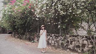 Đi du lịch ngay quê nhà ✈️ - ảnh 1 di du lich ngay que nha ✈️ - anh 1