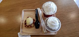 Katholic Coffee - cafe mèo dành cho team thích mều! - ảnh 1 katholic coffee - cafe meo danh cho team thich meu! - anh 1