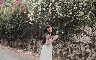 Đi du lịch ngay quê nhà ✈️ - ảnh 2 di du lich ngay que nha ✈️ - anh 2