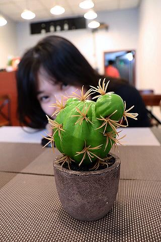 Món Âu Giá Việt - ảnh 6 mon au gia viet - anh 6