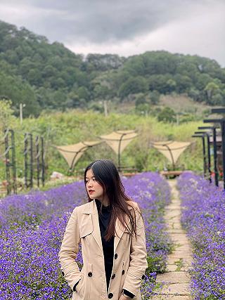 Cánh đồng hoa ở Đà Lạt đẹp không cưỡng lại được - ảnh 1 canh dong hoa o da lat dep khong cuong lai duoc - anh 1