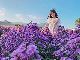 CẬN CẢNH VƯỜN HOA THẠCH THẢO Ở BÀ RỊA-VŨNG TÀU! - ảnh 2 can canh vuon hoa thach thao o ba ria-vung tau! - anh 2