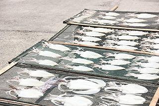 Cam Ranh Khánh Hoà có gì chơi? - ảnh 5 cam ranh khanh hoa co gi choi? - anh 5