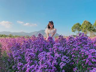 CẬN CẢNH VƯỜN HOA THẠCH THẢO Ở BÀ RỊA-VŨNG TÀU! - ảnh 5 can canh vuon hoa thach thao o ba ria-vung tau! - anh 5