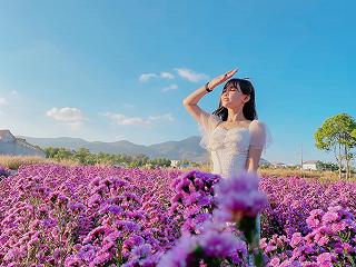 CẬN CẢNH VƯỜN HOA THẠCH THẢO Ở BÀ RỊA-VŨNG TÀU! - ảnh 3 can canh vuon hoa thach thao o ba ria-vung tau! - anh 3