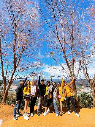 Mùa hoa Anh Đào 2021 🌸🌸🌸🌸 - ảnh 4 mua hoa anh dao 2021 🌸🌸🌸🌸 - anh 4