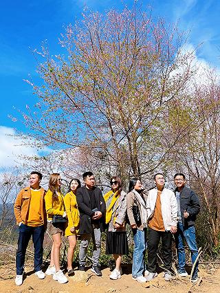 Mùa hoa Anh Đào 2021 🌸🌸🌸🌸 - ảnh 5 mua hoa anh dao 2021 🌸🌸🌸🌸 - anh 5