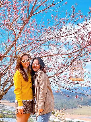 Mùa hoa Anh Đào 2021 🌸🌸🌸🌸 - ảnh 3 mua hoa anh dao 2021 🌸🌸🌸🌸 - anh 3