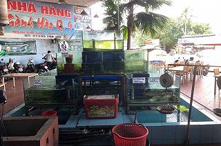 Gành Hào Q.9 - ảnh 1 ganh hao q.9 - anh 1