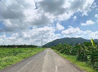Chụp choẹt siêu đẹp sát bên Sài Gòn - ảnh 3 chup choet sieu dep sat ben sai gon - anh 3