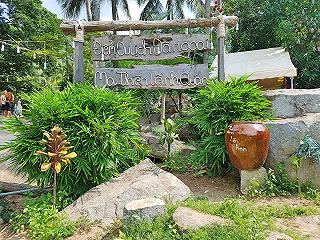 Lạc Trôi Miền Đất Thánh 🕌 Địa Điểm Tham Quan : Tây Ninh - ảnh 5 lac troi mien dat thanh 🕌 dia diem tham quan : tay ninh - anh 5