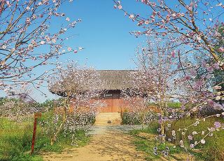 Lạc Trôi Miền Đất Thánh 🕌 Địa Điểm Tham Quan : Tây Ninh - ảnh 6 lac troi mien dat thanh 🕌 dia diem tham quan : tay ninh - anh 6
