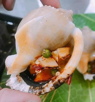 Ốc Phước Đạt - ảnh 1 oc phuoc dat - anh 1