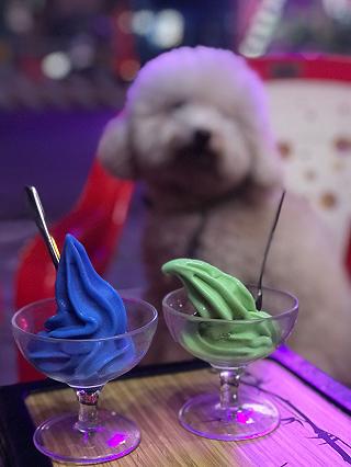 Sushi bình ổn - ảnh 6 sushi binh on - anh 6