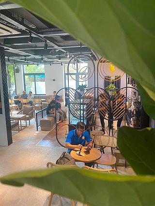 Mr.Phin Cho 1 Ngày Mới - ảnh 4 mr.phin cho 1 ngay moi - anh 4