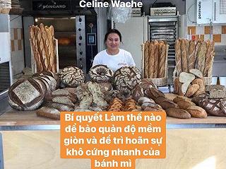 BÍ QUYẾT LÀM THẾ NÀO ĐỂ BẢO QUẢN ĐỘ MỀM GIÒN VÀ ĐỂ TRÌ HOÃN SỰ KHÔ CỨNG NHANH CỦA BÁNH MÌ CÁC LOẠI ? - ảnh 1 bi quyet lam the nao de bao quan do mem gion va de tri hoan su kho cung nhanh cua banh mi cac loai ? - anh 1