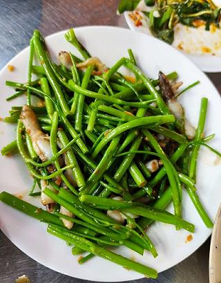 Ốc 235A
- ảnh 1 oc 235a
- anh 1