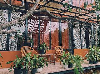 Lalaland Homestay - ảnh 4 lalaland homestay - anh 4