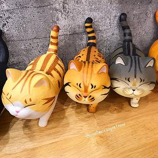 Ở đây có đám mèo xinhhhh - ảnh 2 o day co dam meo xinhhhh - anh 2