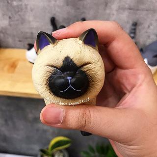 Ở đây có đám mèo xinhhhh - ảnh 3 o day co dam meo xinhhhh - anh 3