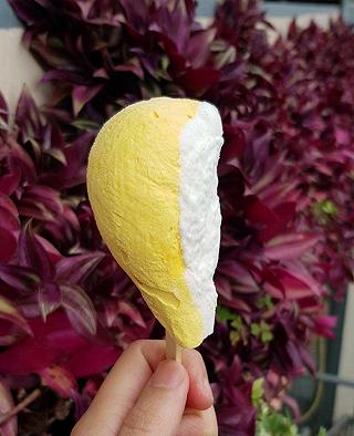 ĂN THỬ QUE KEM SIÊU XỊN MỊN 😛😛 - ảnh 4 an thu que kem sieu xin min 😛😛 - anh 4