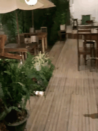 STILL CAFE - ĐÀ LẠT - ảnh 1 still cafe - da lat - anh 1