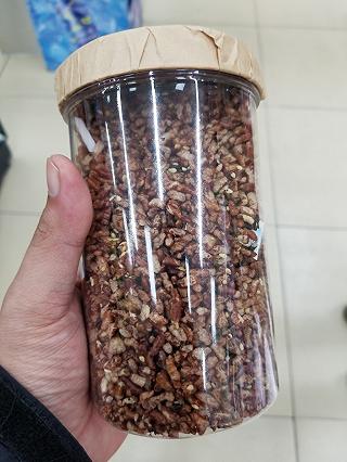 GẠO LỨC RONG BIỂN ĂN TỚI ĐÂU GHIỀN TỚI ĐÓ - ảnh 3 gao luc rong bien an toi dau ghien toi do - anh 3