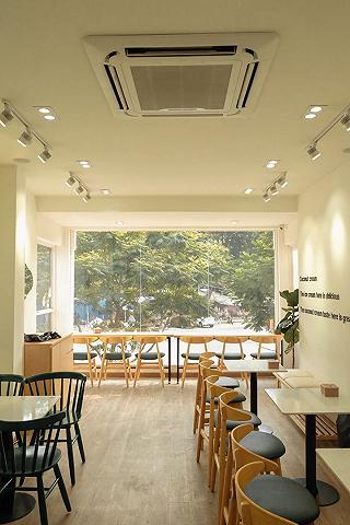 Codonut Phạm Hồng Thái - ảnh 1 codonut pham hong thai - anh 1