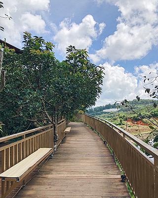 Mộc Trà Farm - ảnh 1 moc tra farm - anh 1