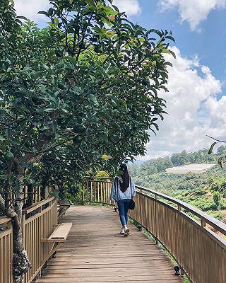 Mộc Trà Farm - ảnh 5 moc tra farm - anh 5