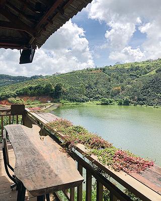 Mộc Trà Farm - ảnh 6 moc tra farm - anh 6