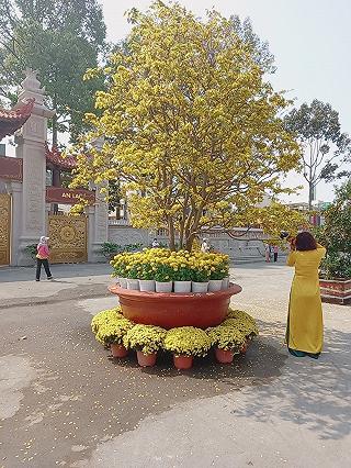 VIỆT NAM QUỐC TỰ QUẬN 10 - ảnh 4 viet nam quoc tu quan 10 - anh 4