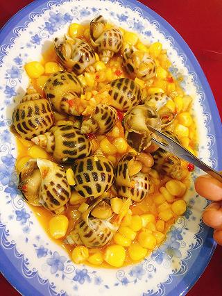 TÌM TRI KỈ ❤️❤️❤️ - ảnh 3 tim tri ki ❤️❤️❤️ - anh 3