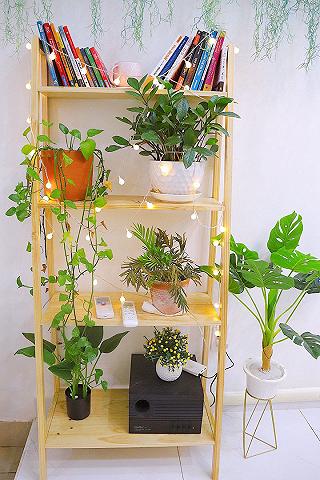 Phô mai đá xay ➕ Sữa chua mật ong đào - ảnh 5 pho mai da xay ➕ sua chua mat ong dao - anh 5