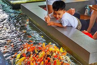MÌNH ĐÃ TÌM ĐƯỢC NƠI GIẢI TOẢ STRESS RỒI ĐẤY❗️ - ảnh 1 minh da tim duoc noi giai toa stress roi day❗️ - anh 1
