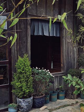 Chuyện một ngày nắng ấm trong một căn nhà gỗ - ảnh 4 chuyen mot ngay nang am trong mot can nha go - anh 4