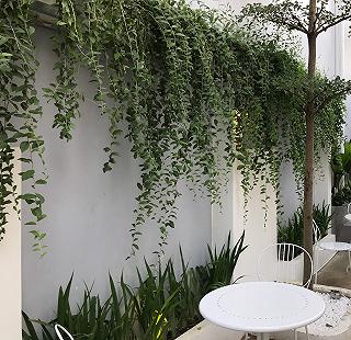 QUÁN CAFE SỐNG ẢO MỚI TẠI GÒ VẤP - DORYO CAFE & TEA - ảnh 1 quan cafe song ao moi tai go vap - doryo cafe & tea - anh 1