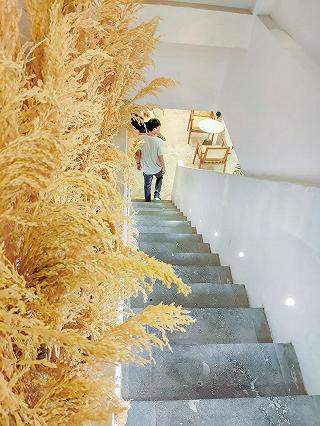 - ảnh 4 - anh 4